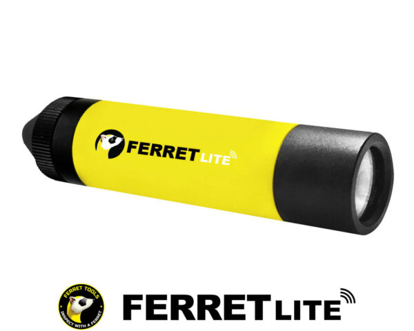 Ferret lite